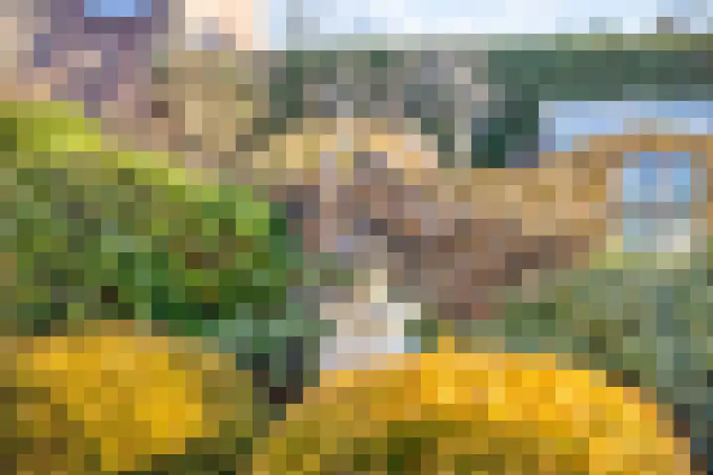 Noord 39 Schagen thumbnail 54