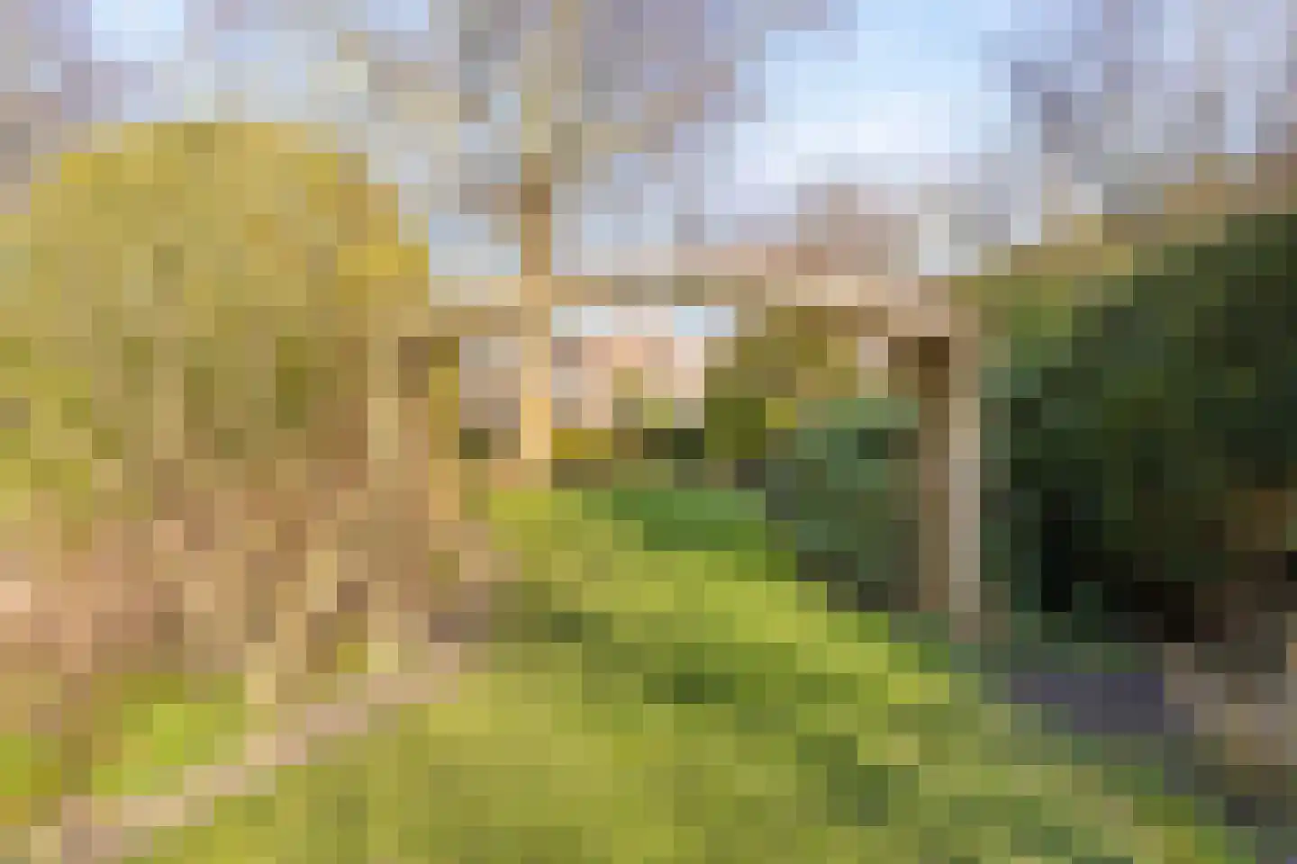 Noord 39 Schagen thumbnail 56