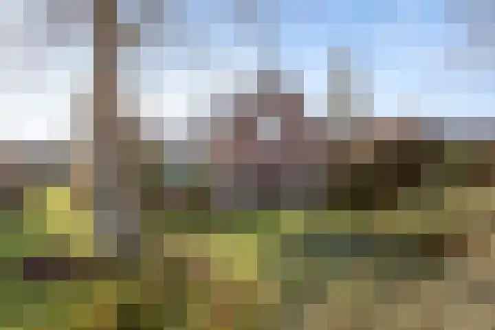 Noord 39 Schagen thumbnail 6