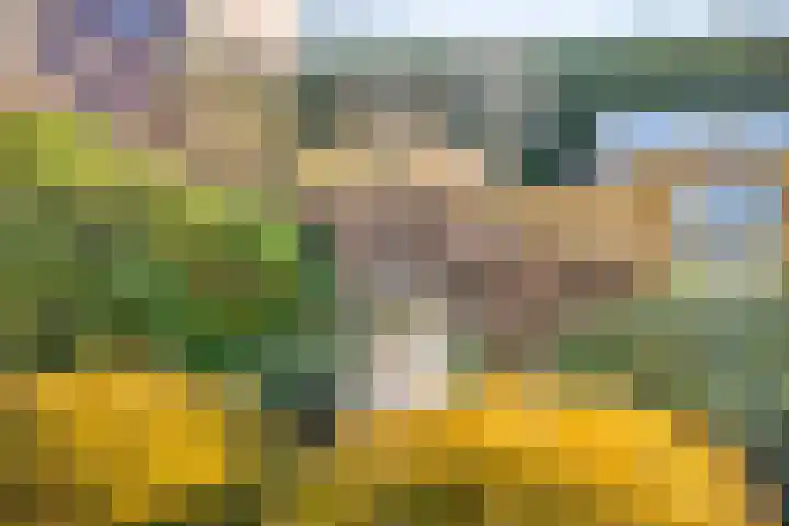 Noord 39 Schagen thumbnail 85