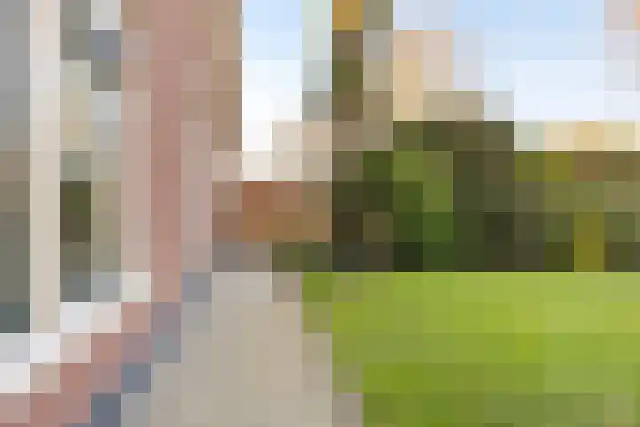 Noord 39 Schagen thumbnail 88