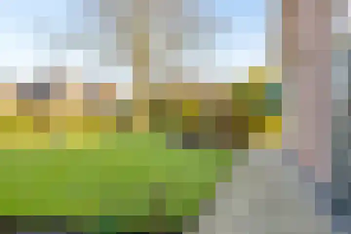 Noord 39 Schagen thumbnail 89