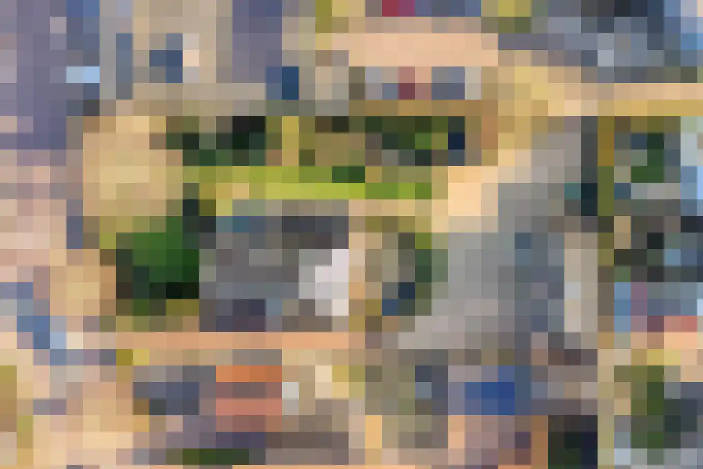 Noord 39 Schagen thumbnail 9