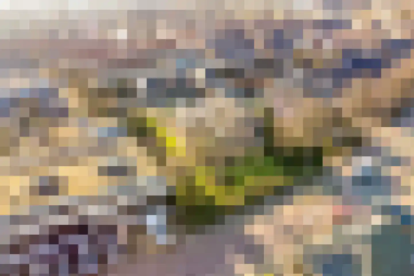 Noord 39 Schagen thumbnail 85