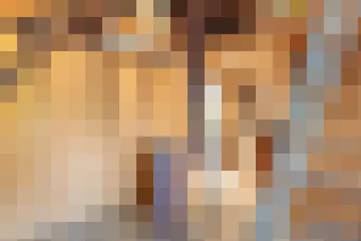 Noord 42 Krimpen aan de Lek thumbnail 15