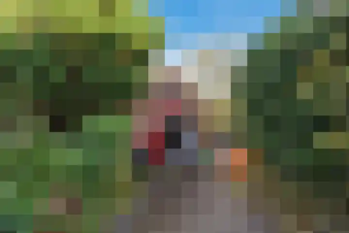 Noord 42 Krimpen aan de Lek foto 2