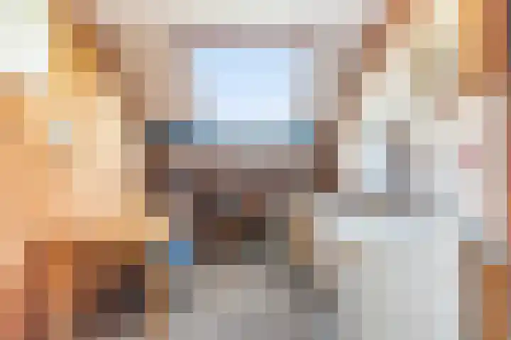 Noord 42 Krimpen aan de Lek thumbnail 20