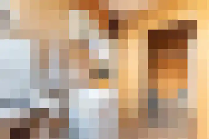 Noord 42 Krimpen aan de Lek thumbnail 22