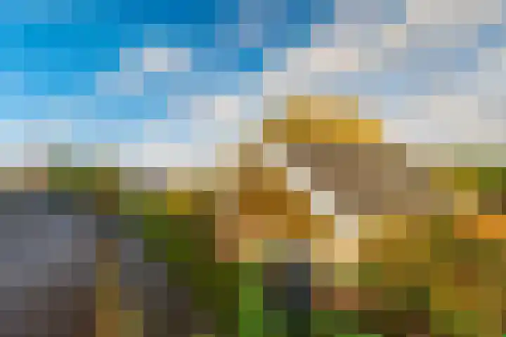 Noord 42 Krimpen aan de Lek thumbnail 6