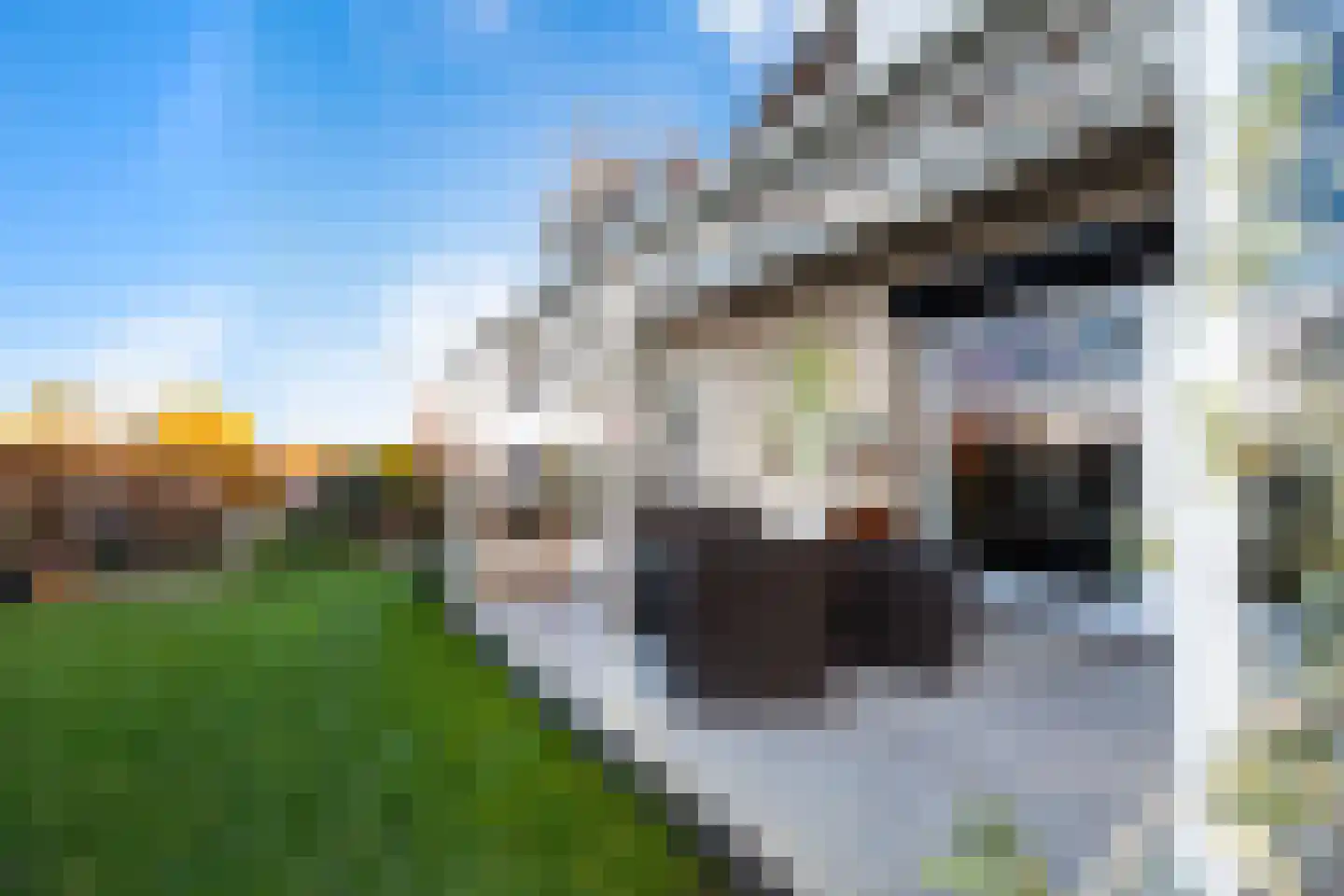 Noord 45 b Krimpen aan de Lek thumbnail 25