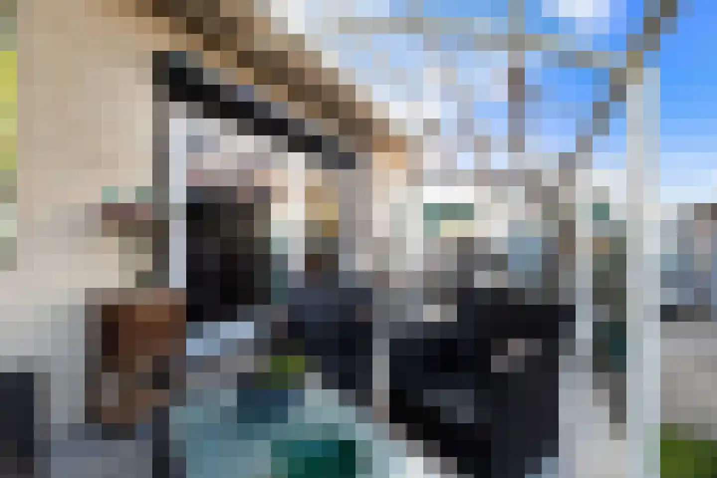 Noord 45 b Krimpen aan de Lek thumbnail 26