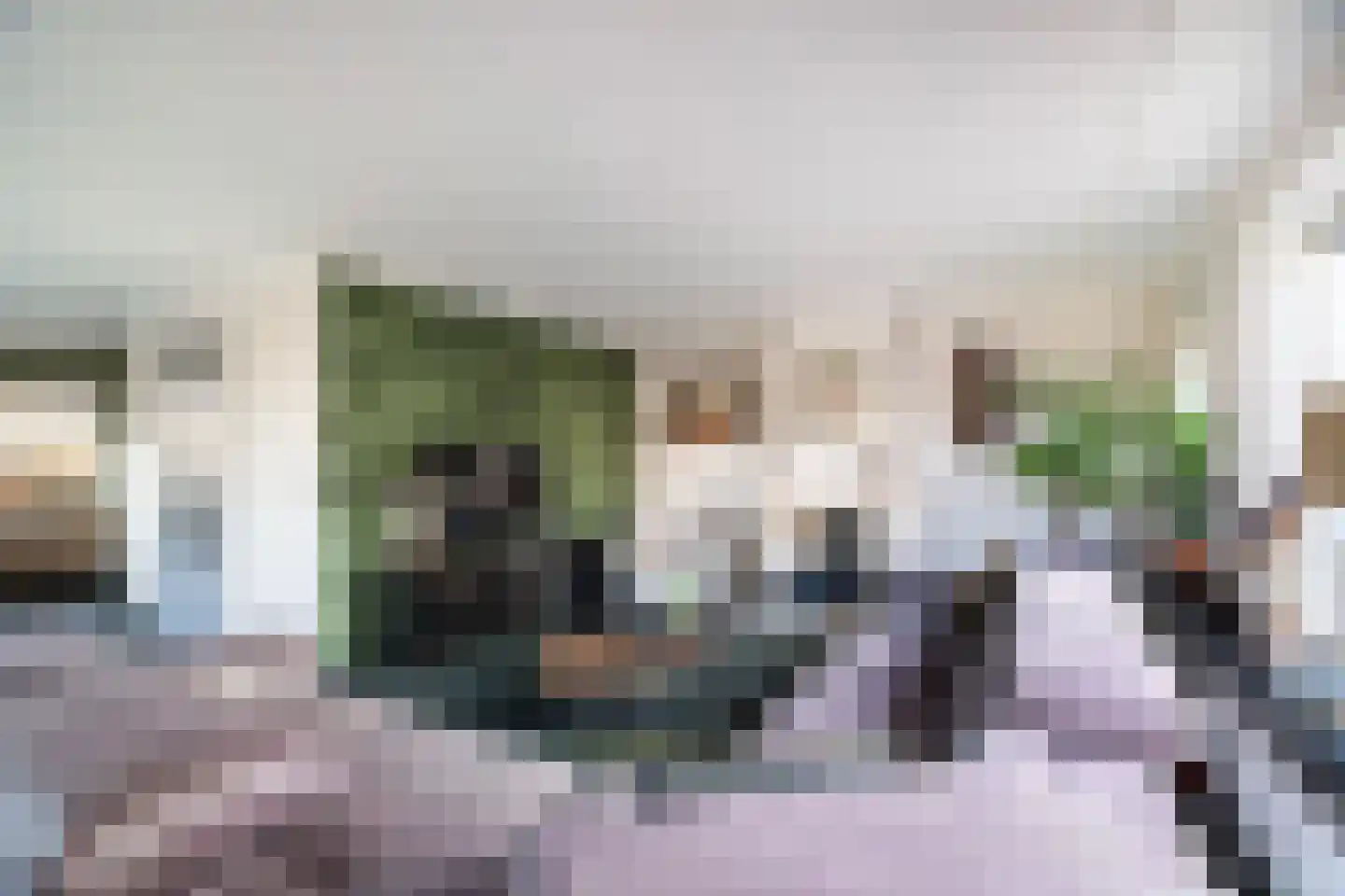 Noord 45 b Krimpen aan de Lek thumbnail 8