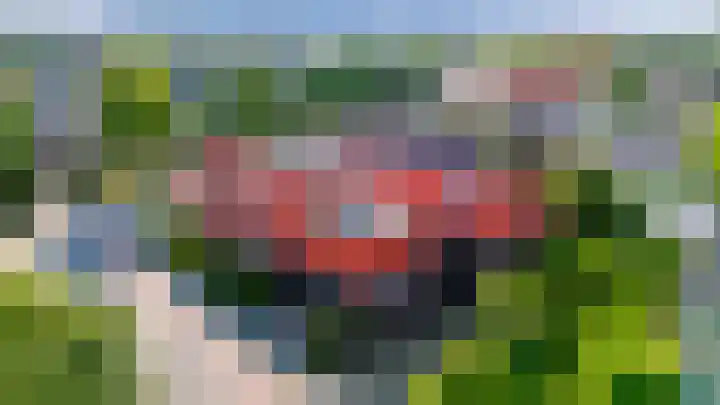 Noord 76 Schagen thumbnail 5