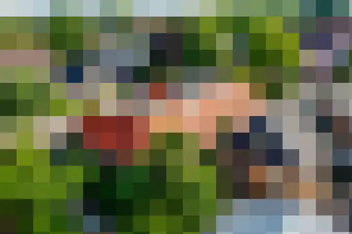 Noord 76 Schagen thumbnail 80