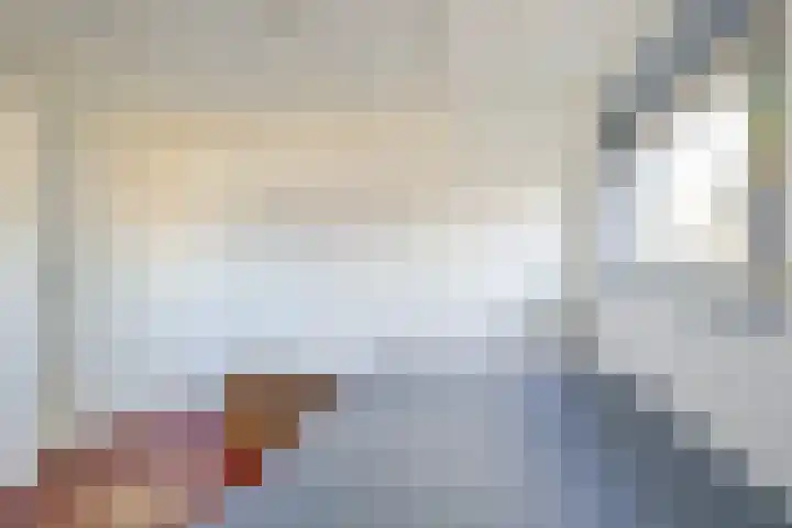Noord 77 Schagen thumbnail 27