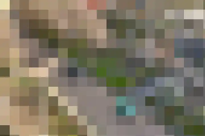 Noord 77 Schagen thumbnail 37