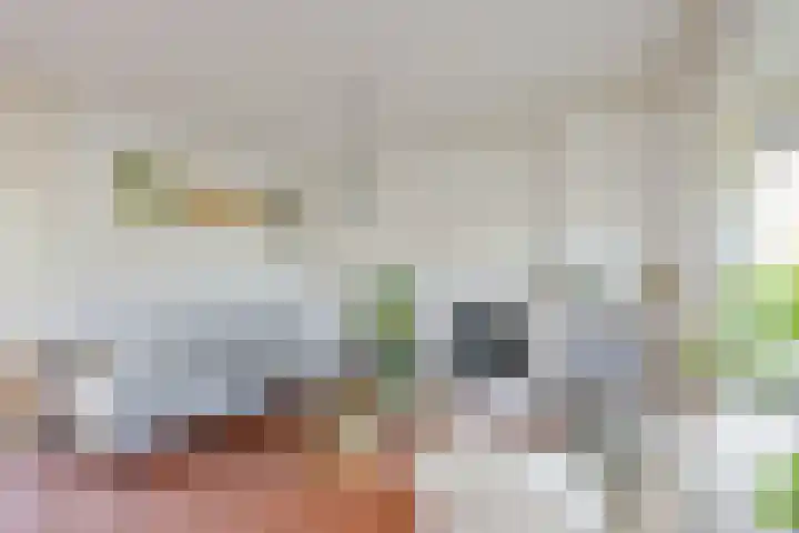 Noord 77 Schagen thumbnail 6