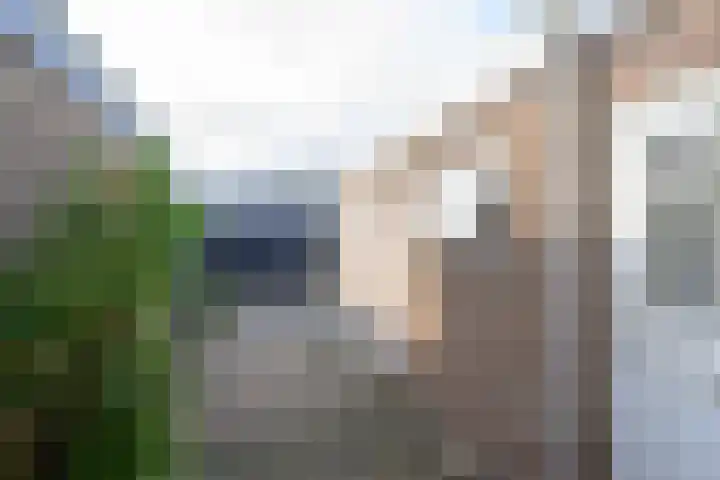 Noord 77 Schagen thumbnail 9