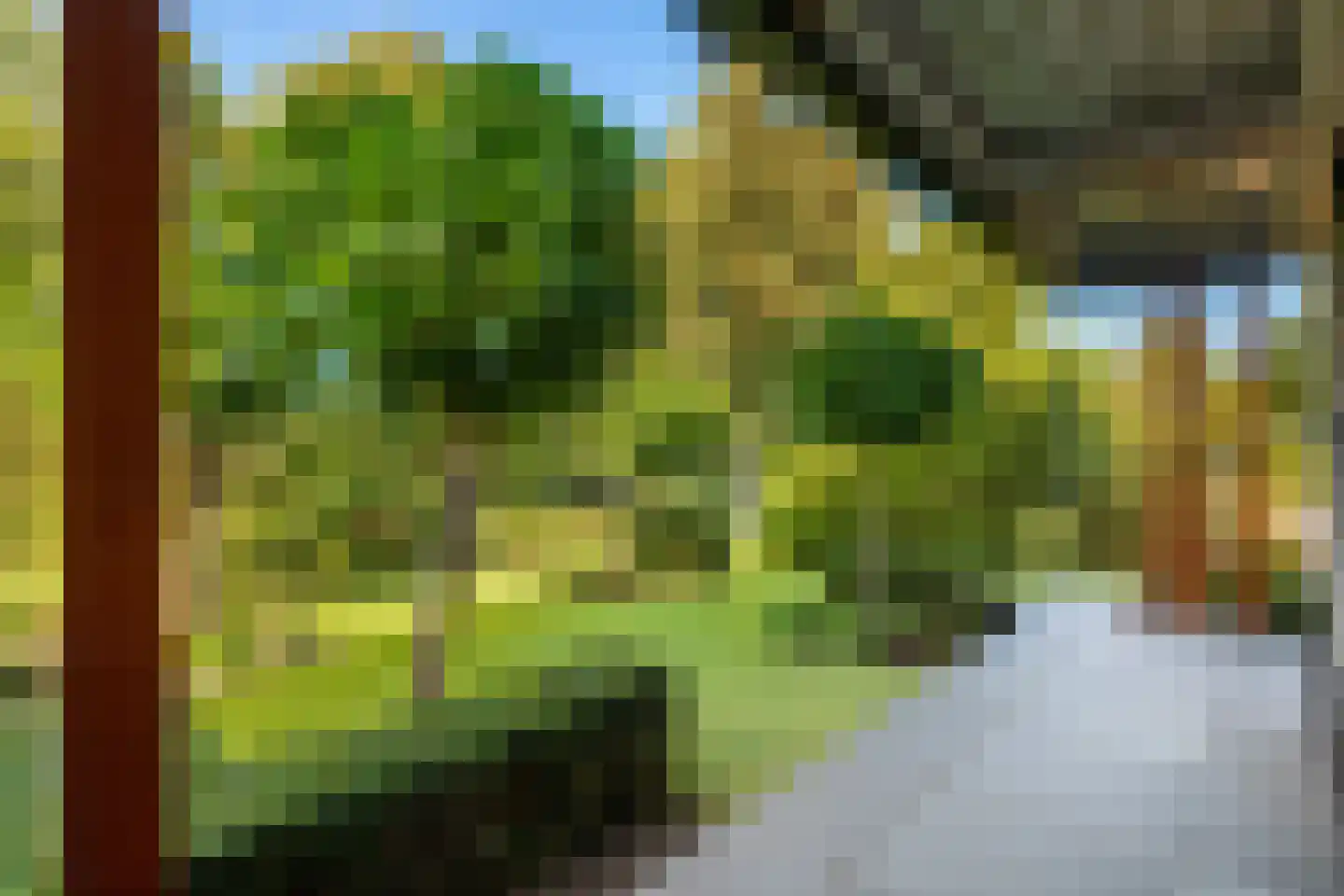 Noord 79 Krimpen aan de Lek thumbnail 29