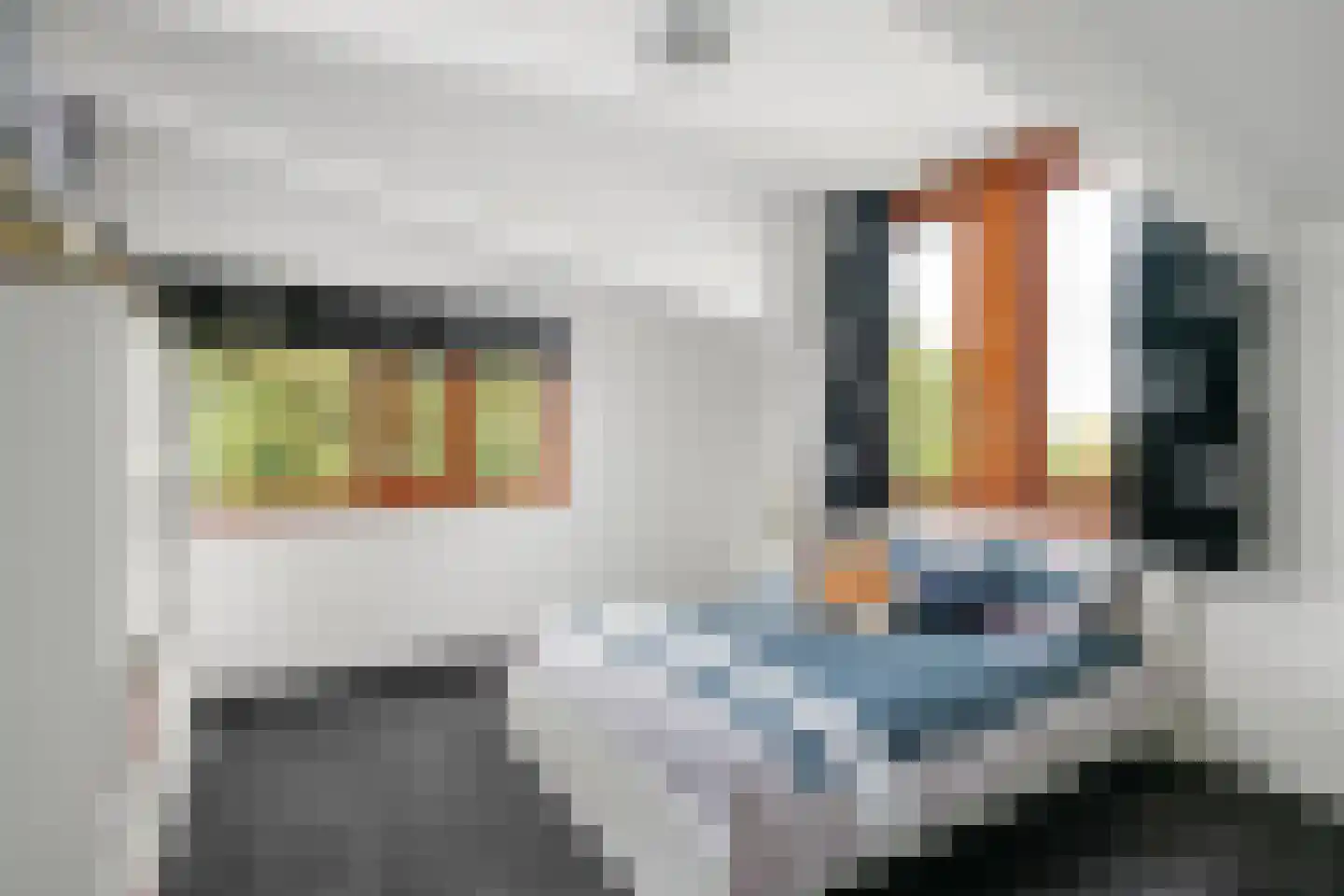 Noord 79 Krimpen aan de Lek thumbnail 48