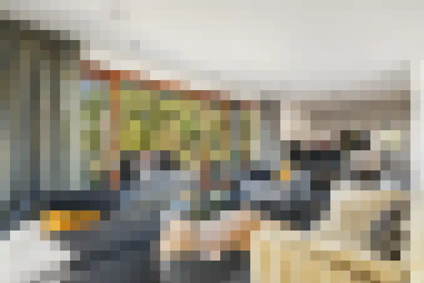Noord 79 Krimpen aan de Lek thumbnail 7