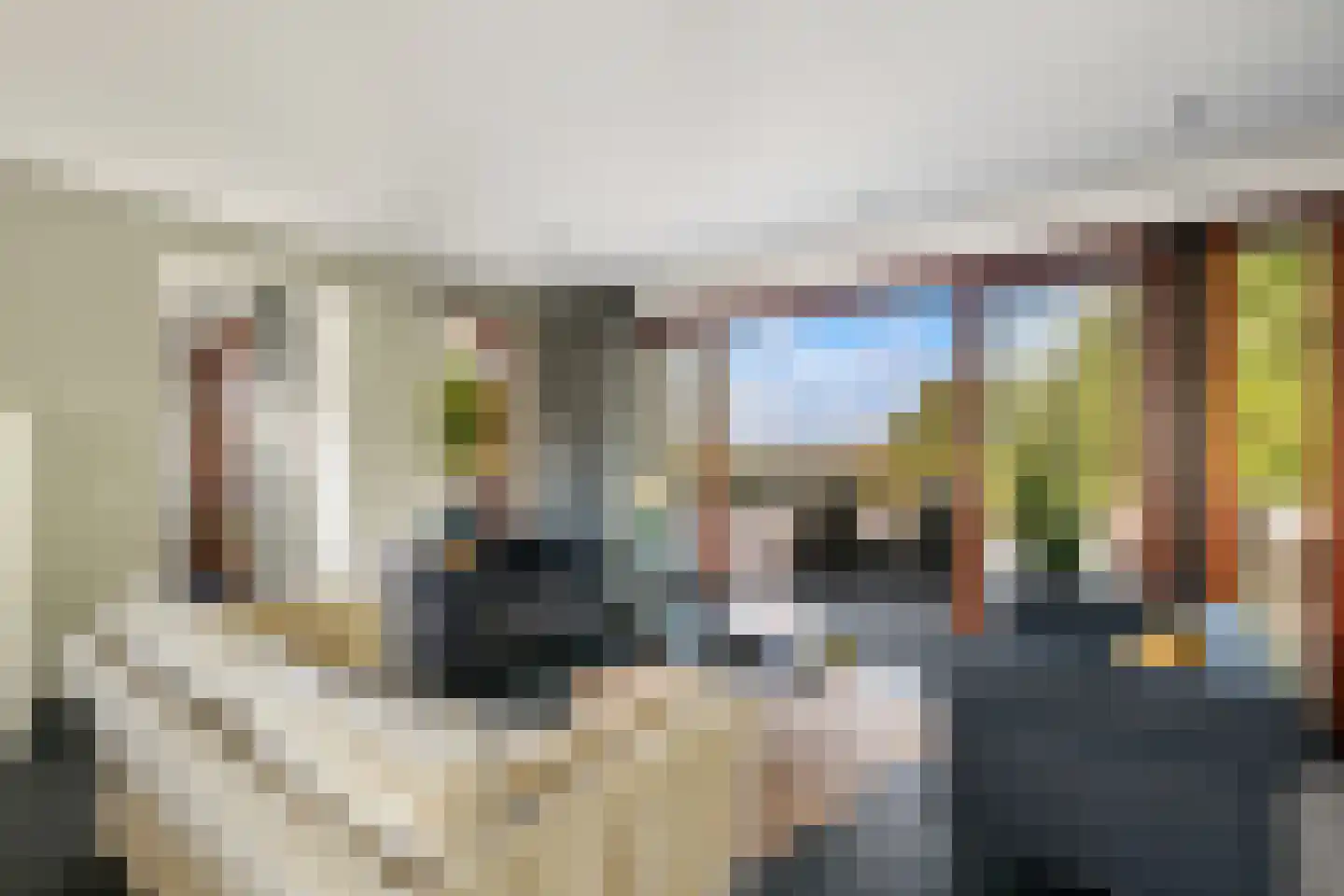 Noord 79 Krimpen aan de Lek thumbnail 8