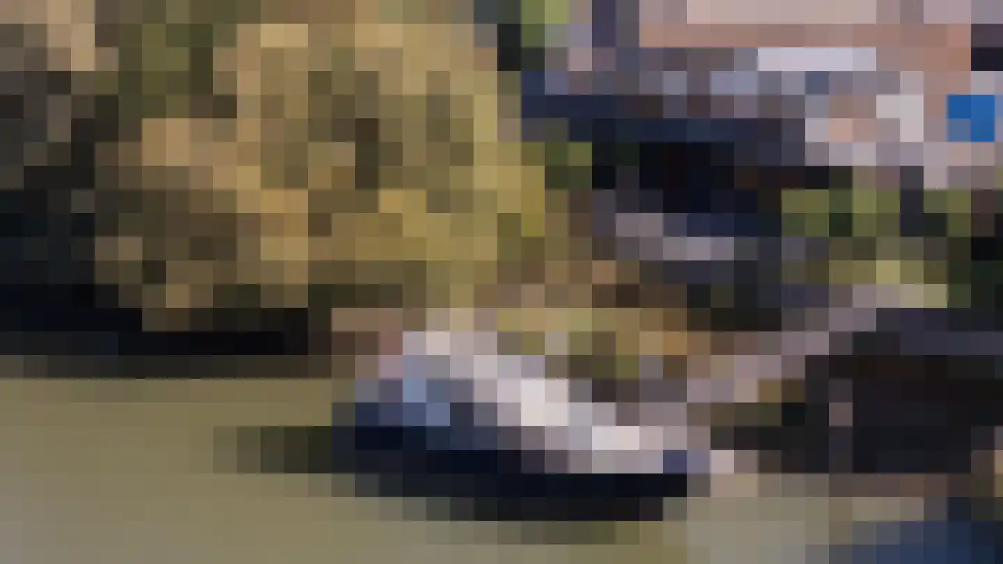 Noord 79 Krimpen aan de Lek thumbnail 87