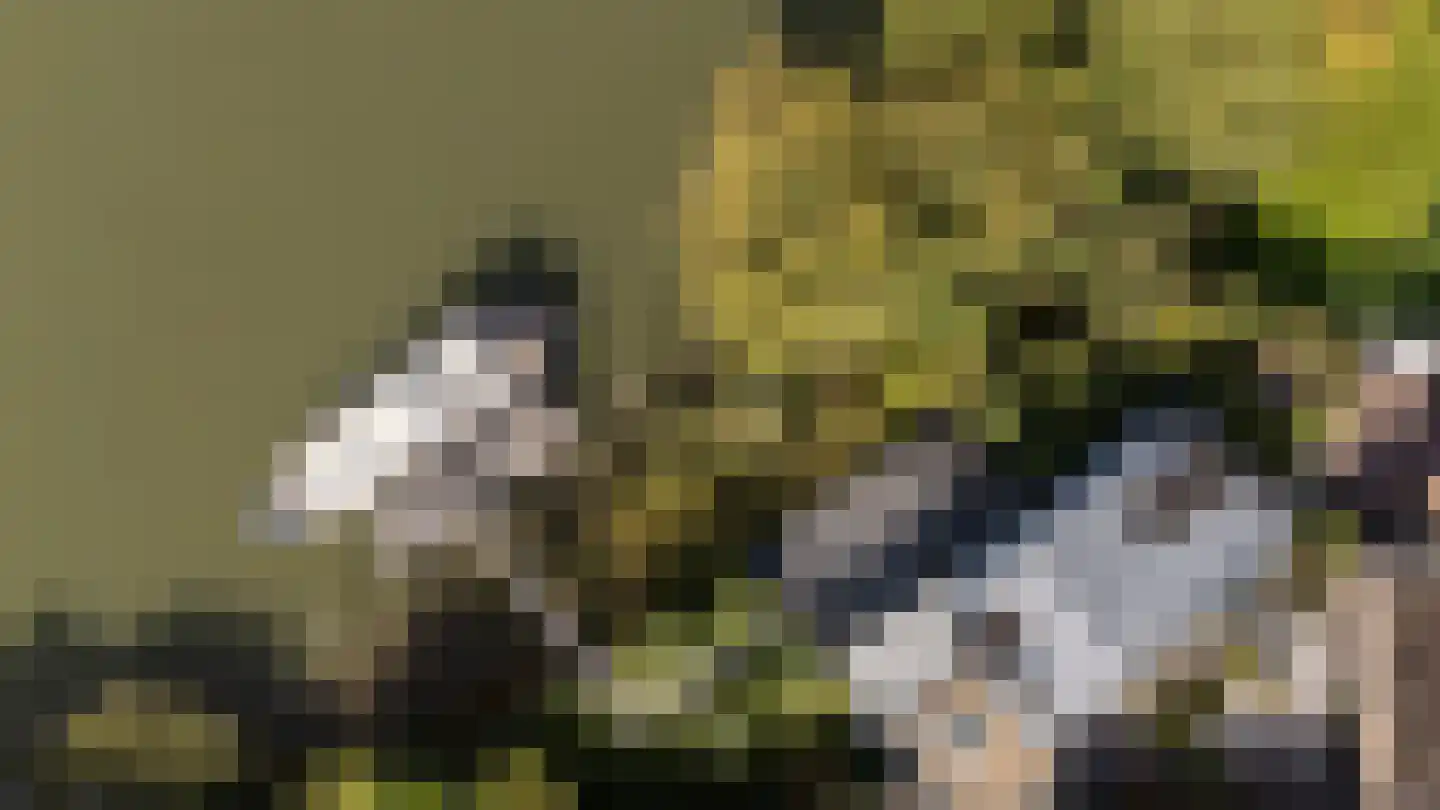 Noord 79 Krimpen aan de Lek thumbnail 88