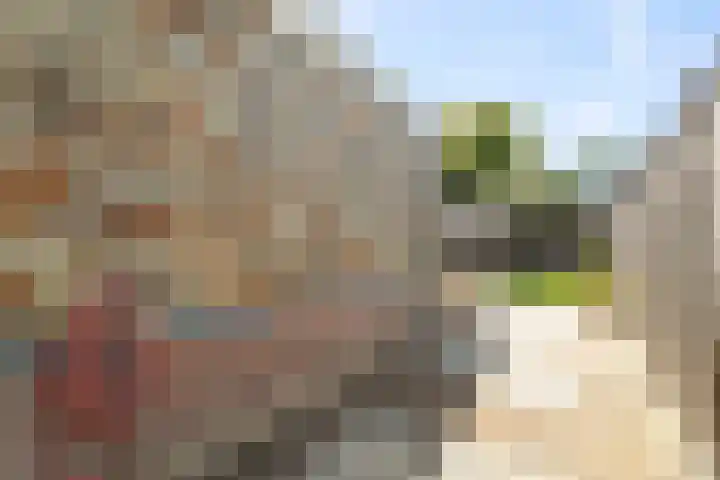 Noord 81 Schagen thumbnail 12
