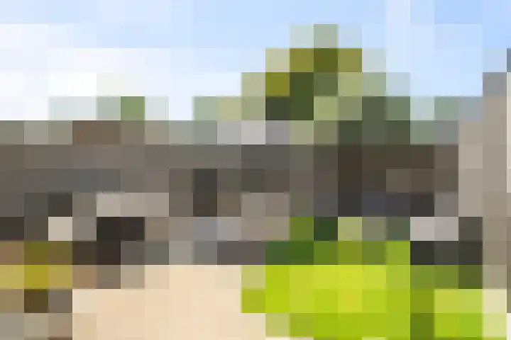 Noord 81 Schagen thumbnail 13