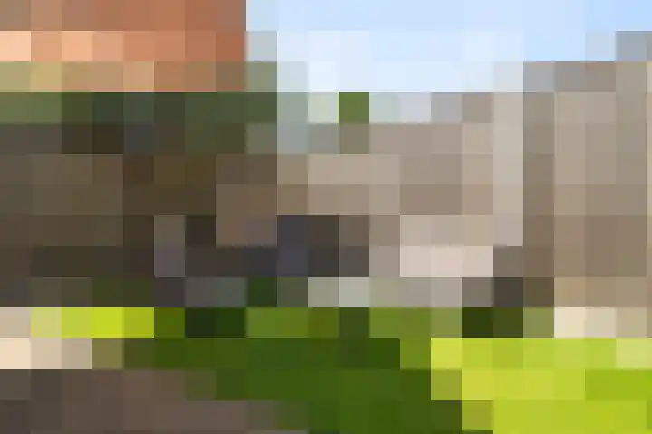Noord 81 Schagen thumbnail 14