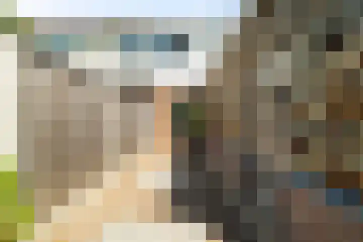 Noord 81 Schagen thumbnail 16