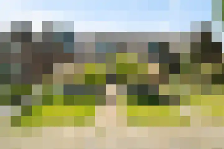Noord 81 Schagen thumbnail 26