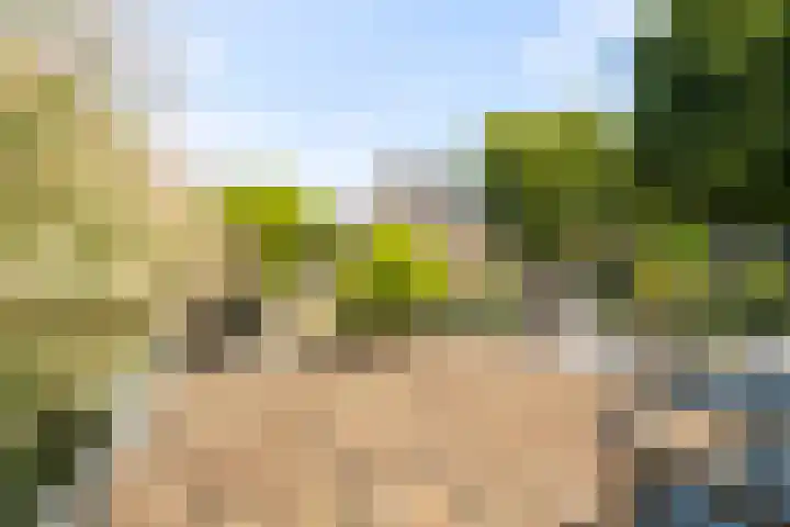 Noord 81 Schagen thumbnail 27