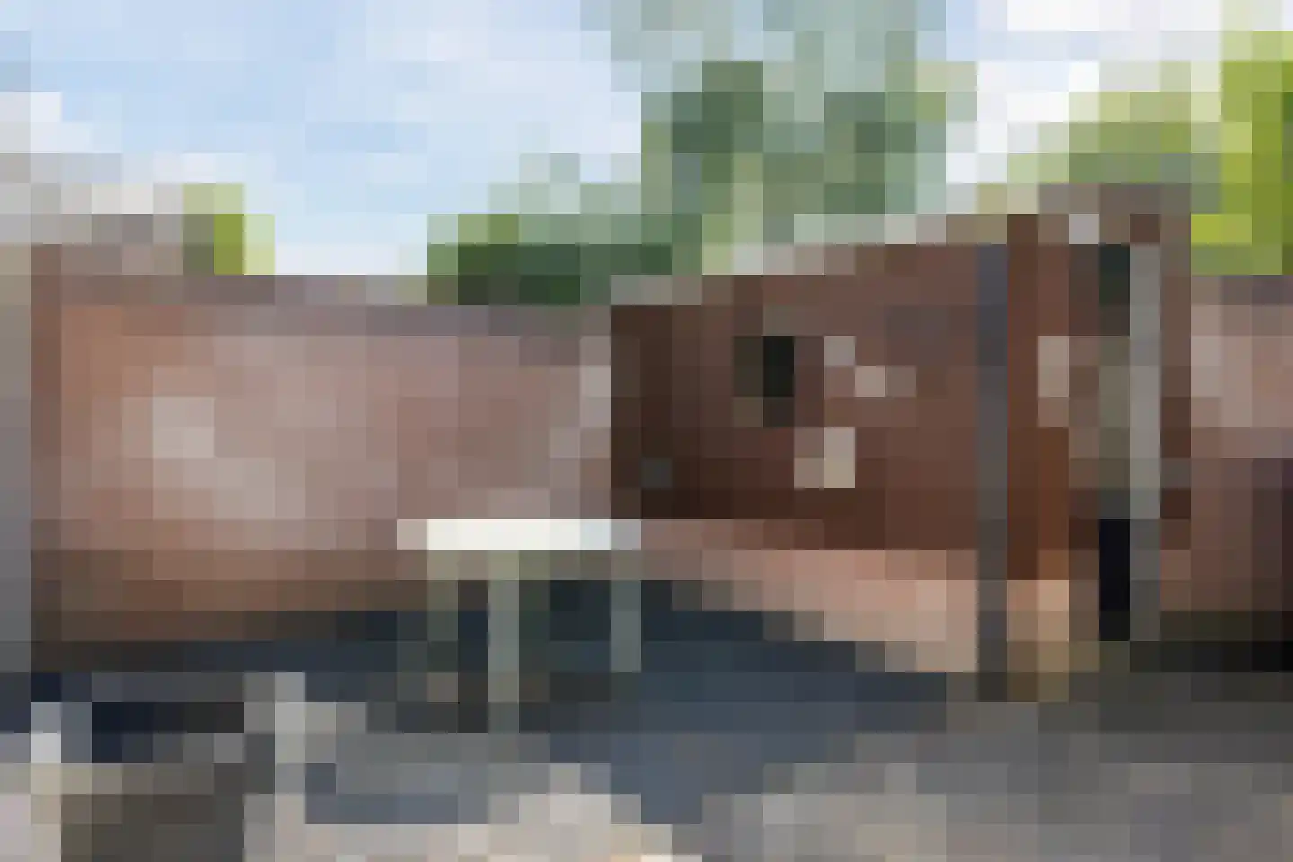 Noord-Besterdstraat 5 Tilburg thumbnail 25