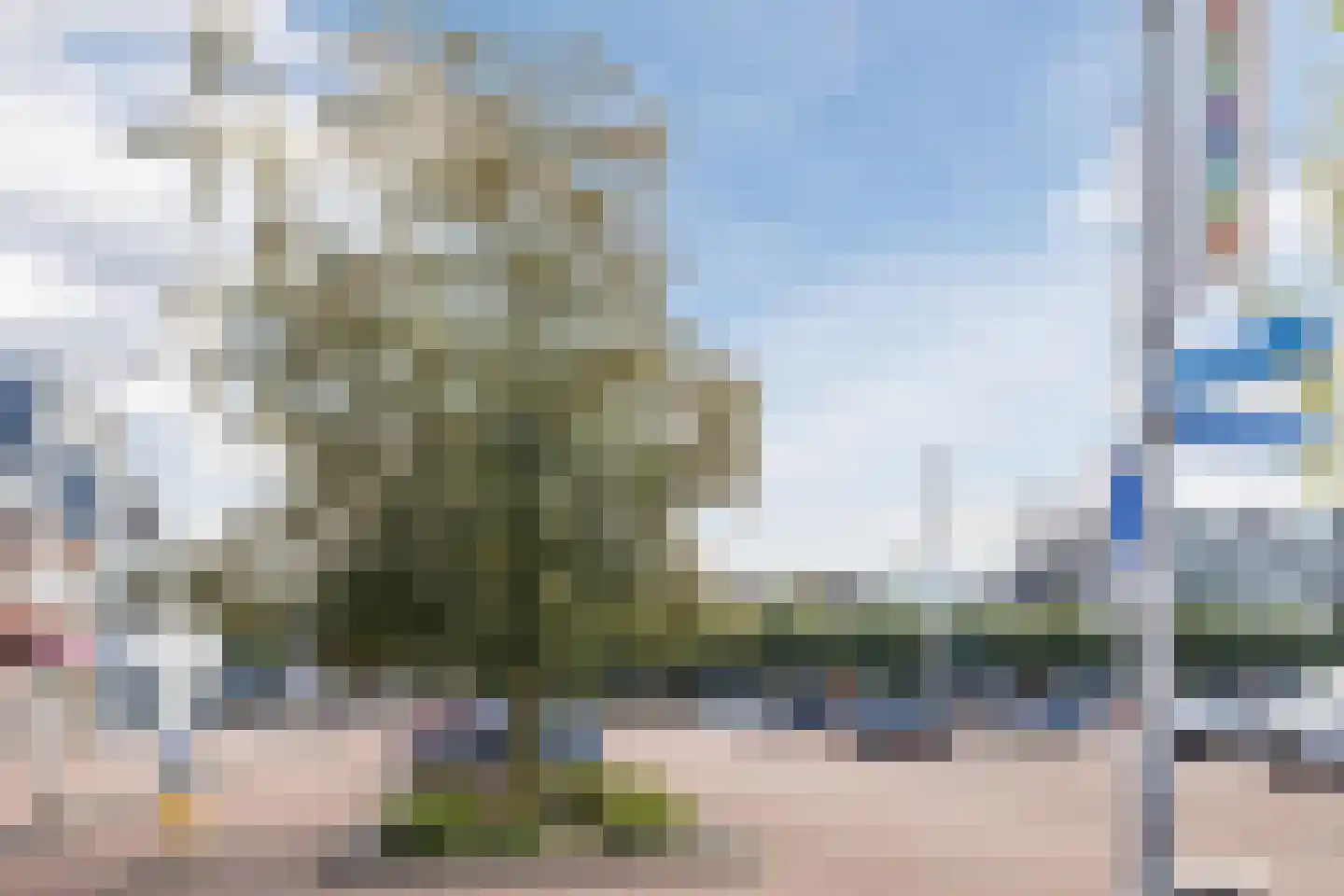 Noord-Besterdstraat 5 Tilburg thumbnail 32