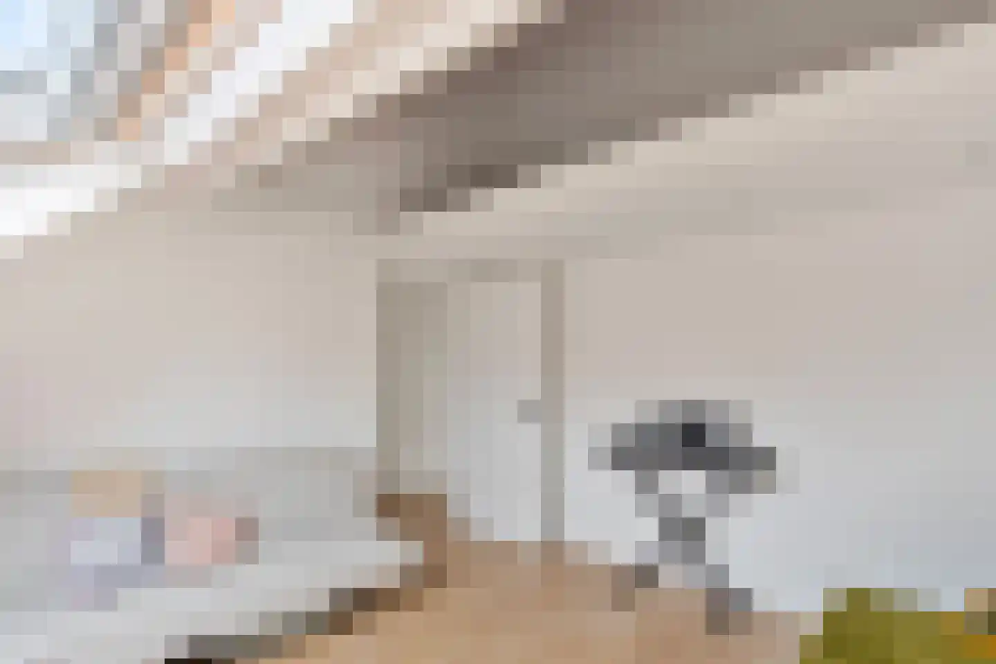 Noord Binnensingel 7 Venlo thumbnail 26