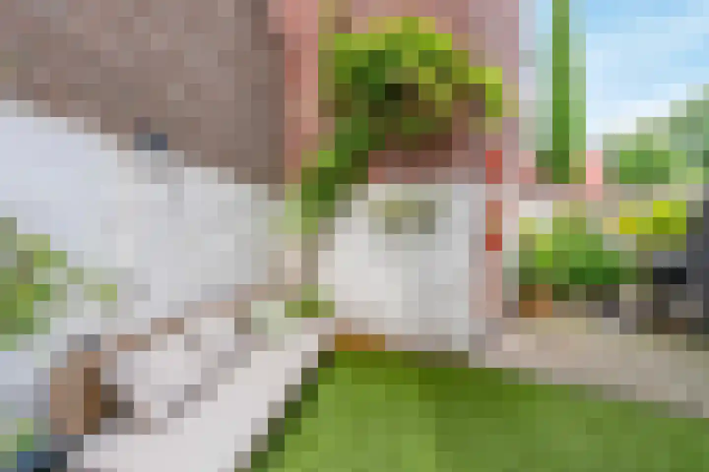 Noord Binnensingel 7 Venlo thumbnail 5