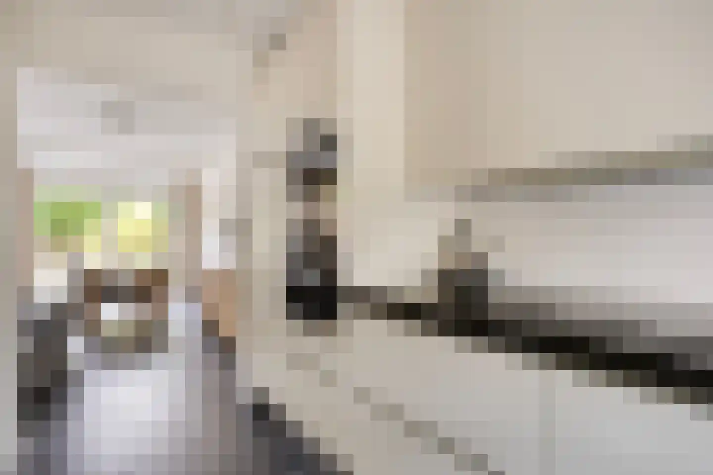 Noord-Brabantlaan 11 Lage Zwaluwe thumbnail 11