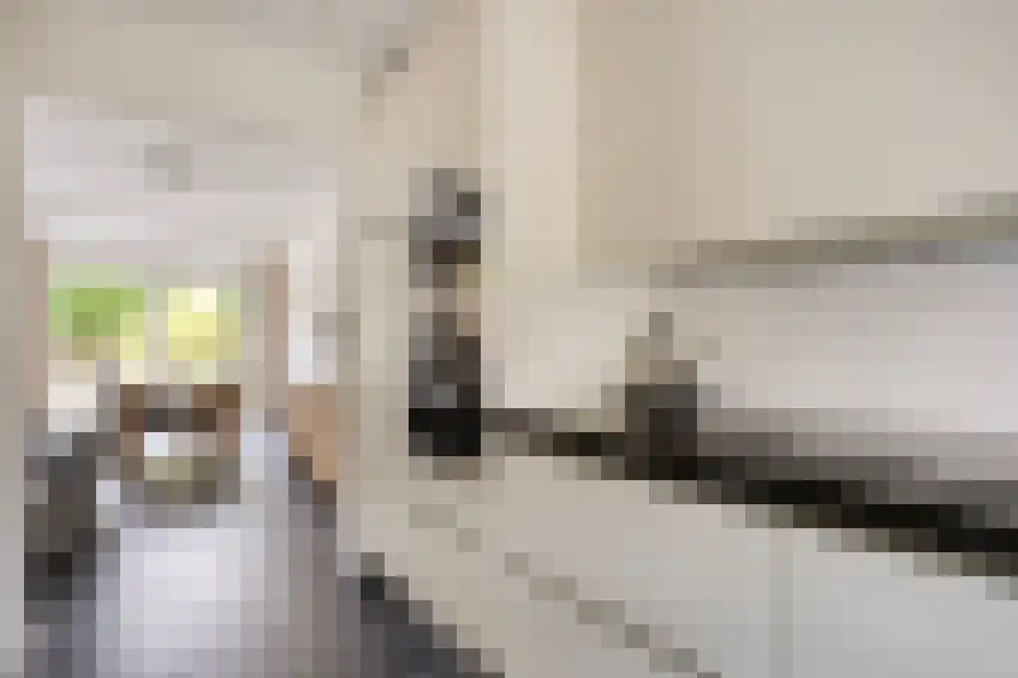 Noord-Brabantlaan 11 Lage Zwaluwe thumbnail 12