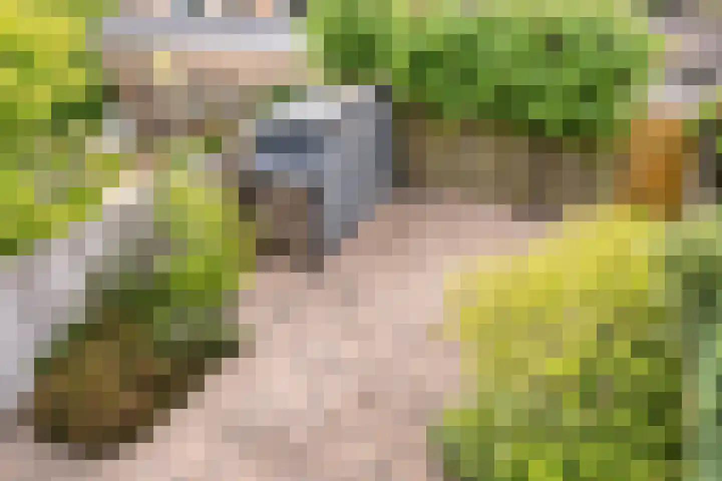Noord-Brabantlaan 11 Lage Zwaluwe thumbnail 27