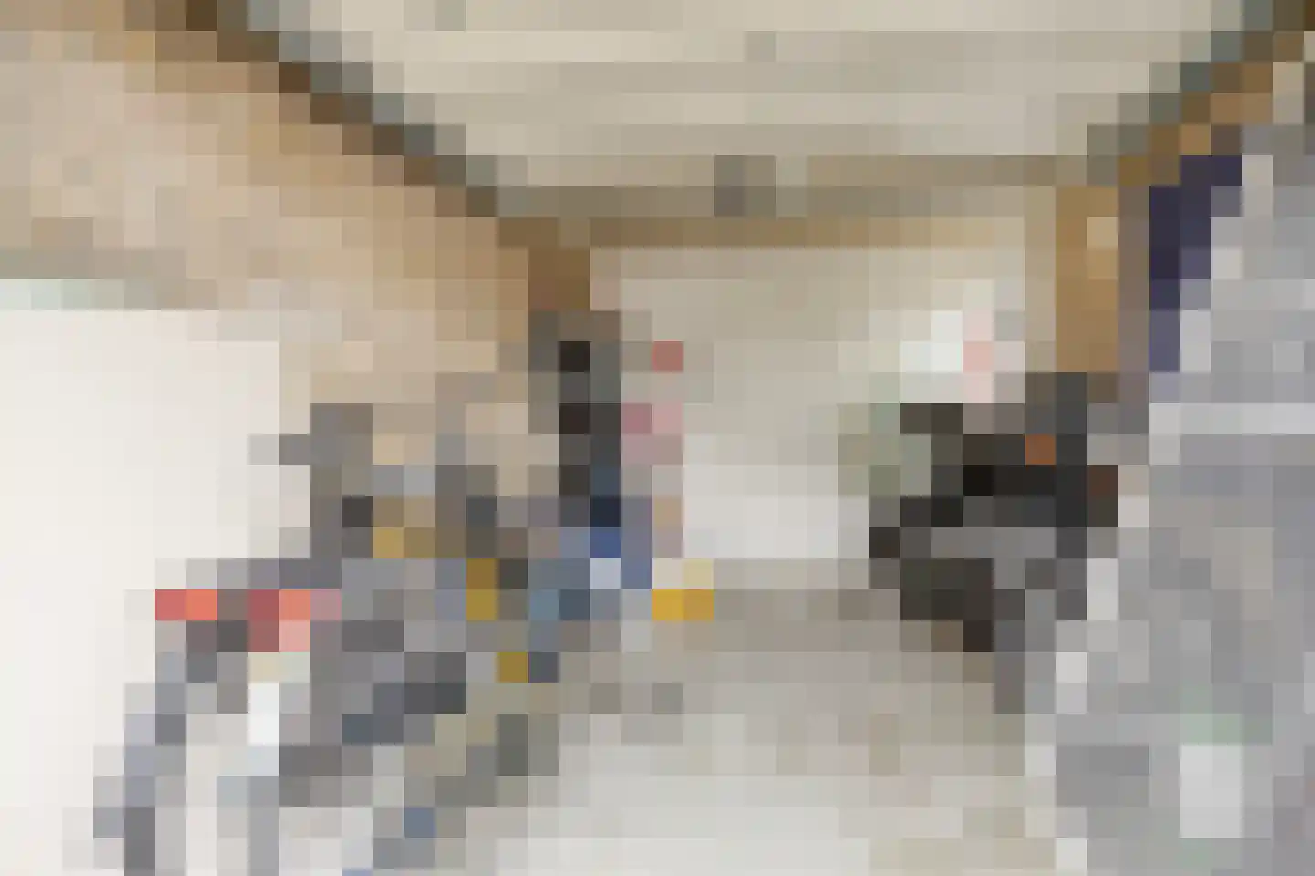 Noord-Brabantlaan 11 Lage Zwaluwe thumbnail 29