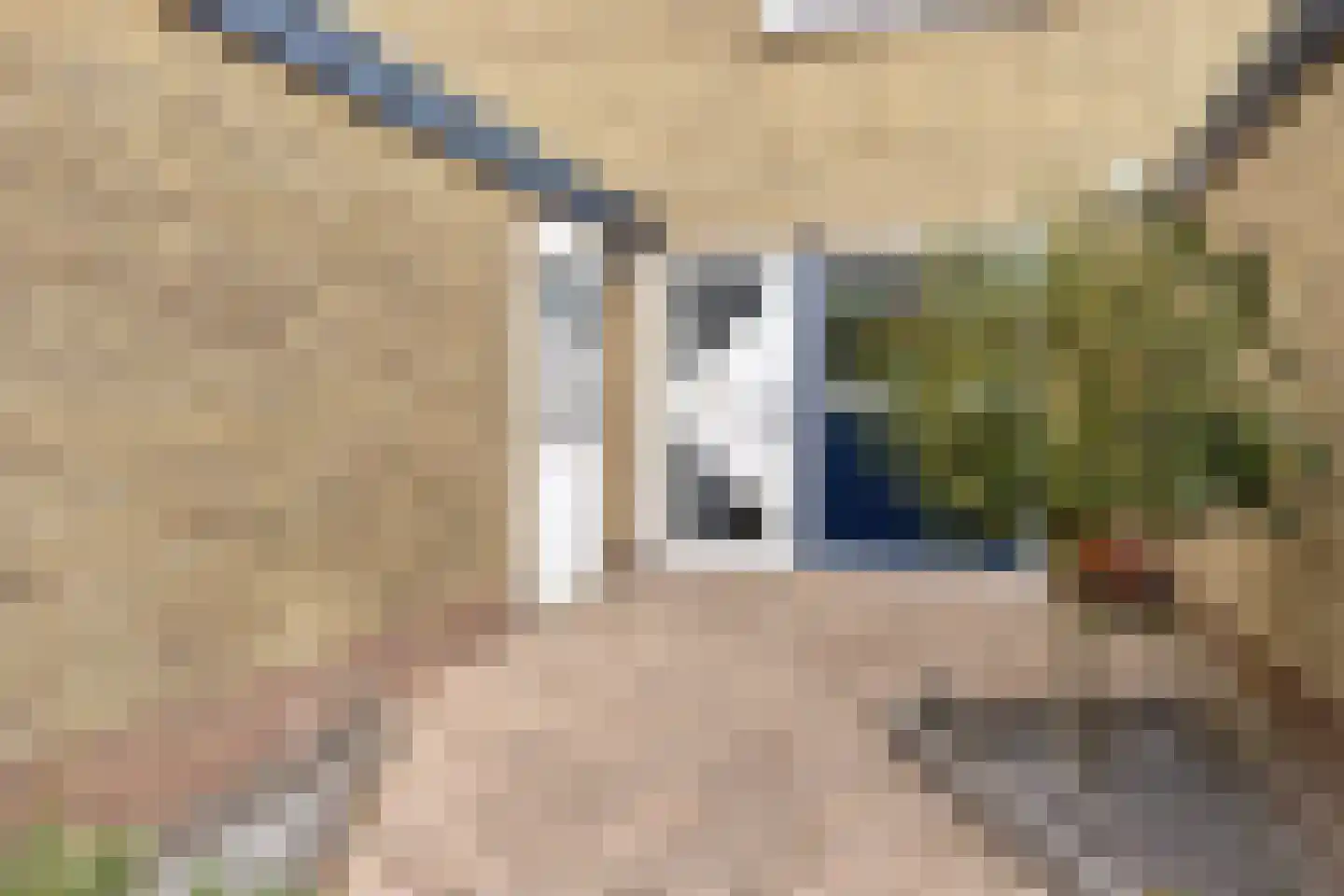 Noord-Brabantlaan 11 Lage Zwaluwe thumbnail 30