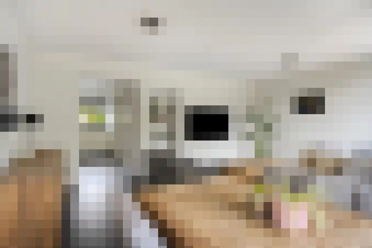 Noord-Brabantlaan 11 Lage Zwaluwe thumbnail 8