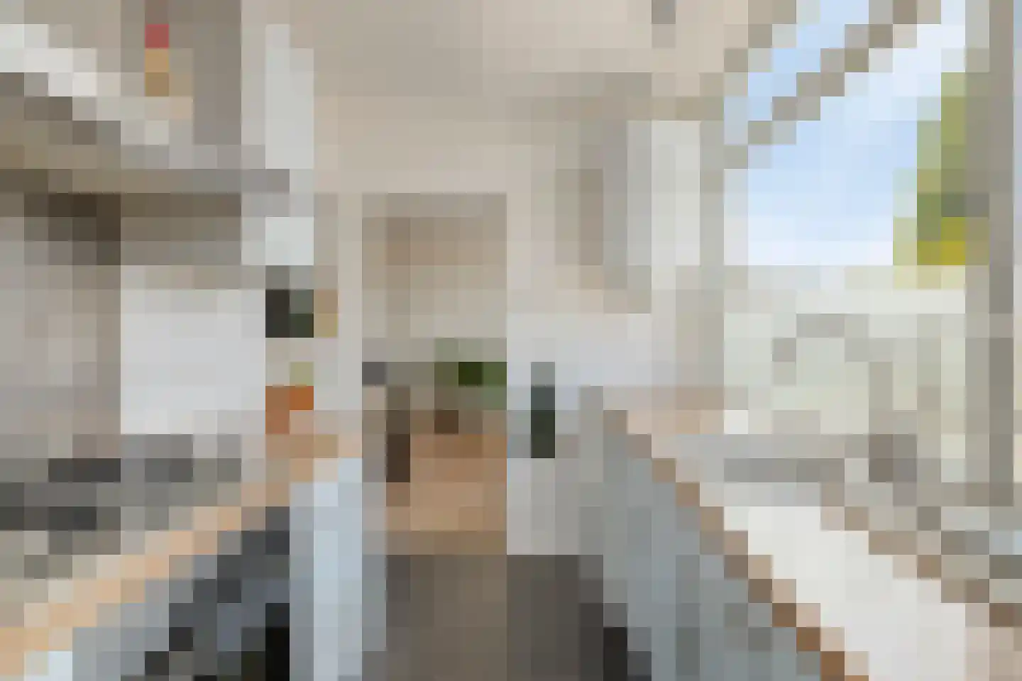 Noord Brabantlaan 38 A Eindhoven thumbnail 20