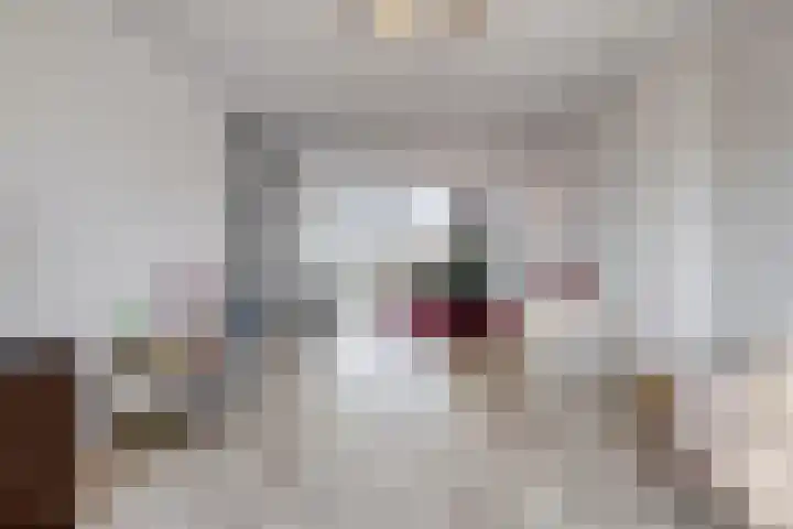 Noord Brabantlaan 38 Eindhoven thumbnail 15