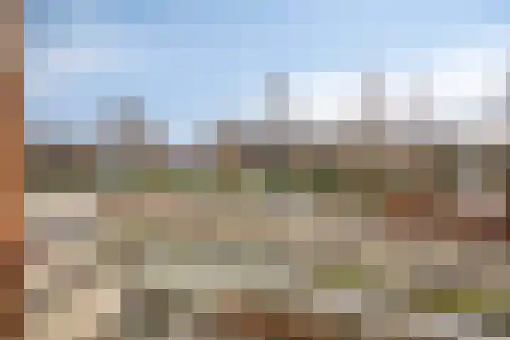Noord Brabantlaan 38 Eindhoven thumbnail 23