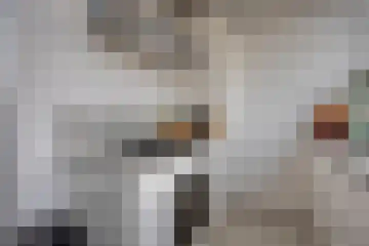 Noord Brabantlaan 38 Eindhoven thumbnail 27