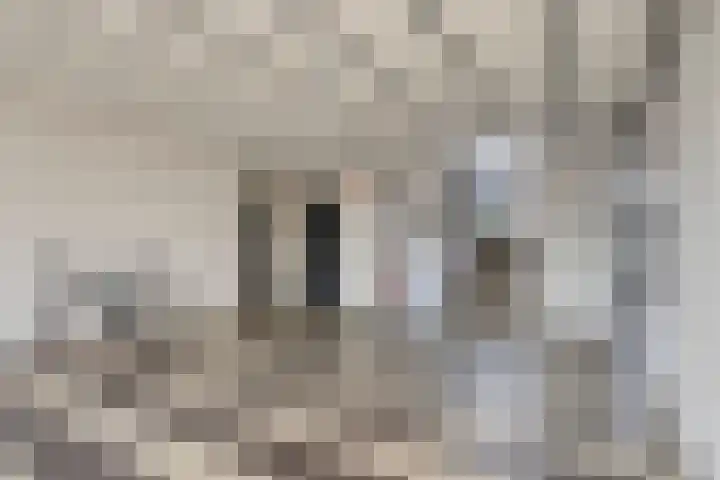 Noord Brabantlaan 38 Eindhoven thumbnail 7