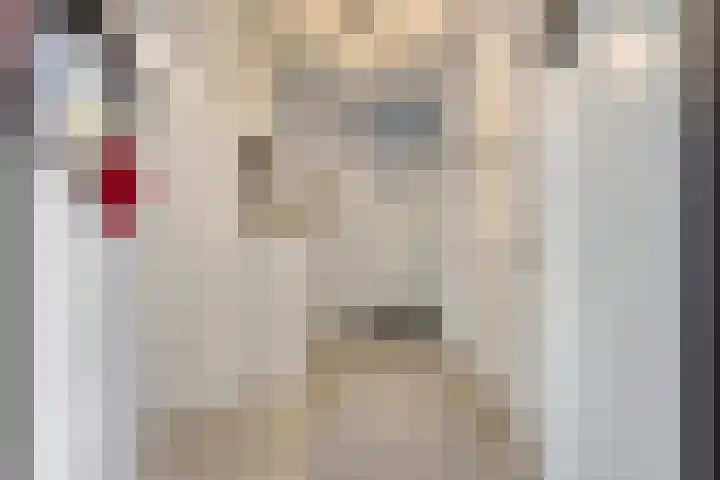 Noord Brabantlaan 38 Eindhoven thumbnail 8